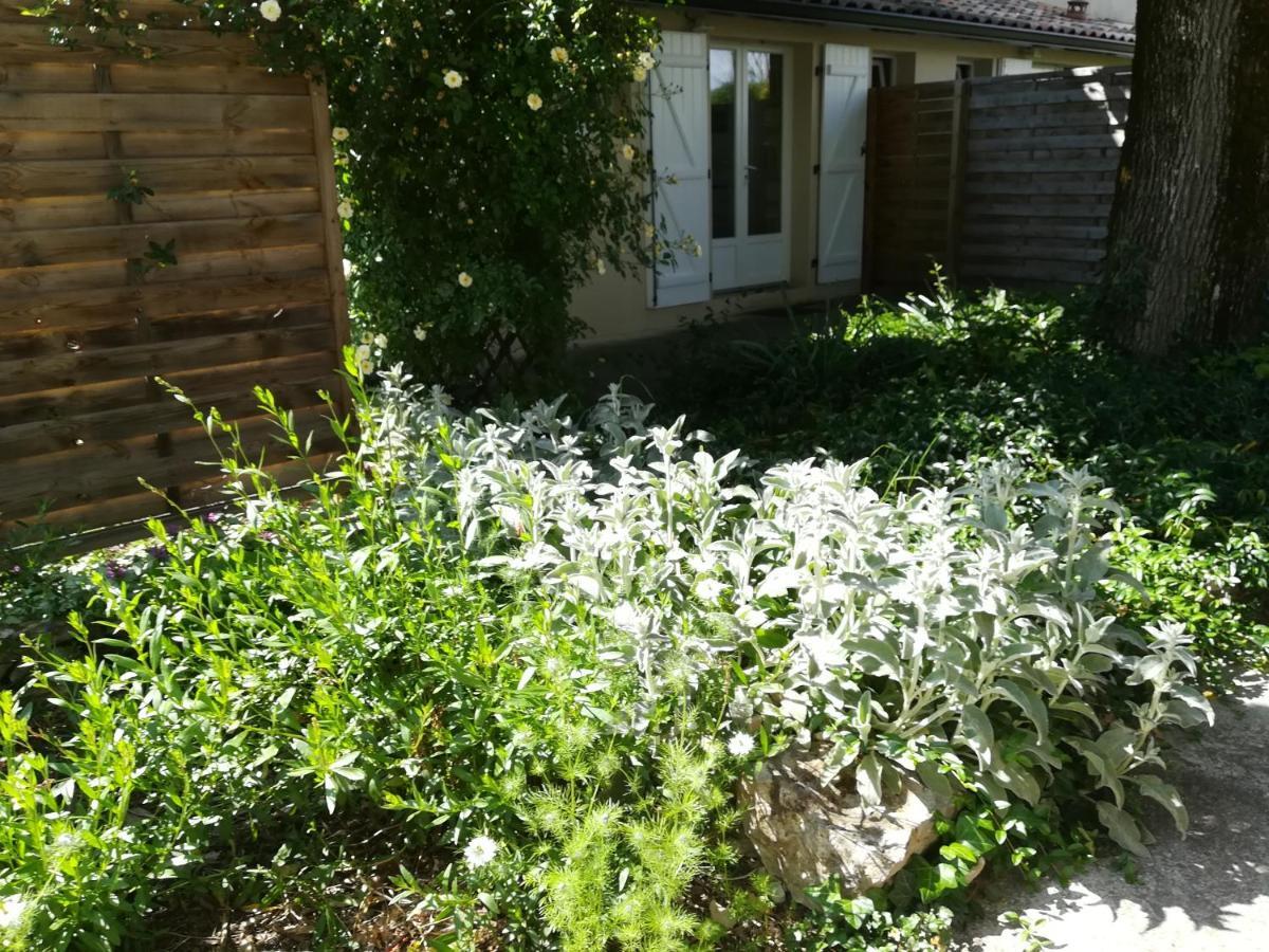 Chez Karine Et Julien Apartment Cahors Ngoại thất bức ảnh